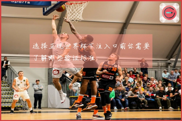 选择正规世界杯下注入口前你需要了解哪些验证标准