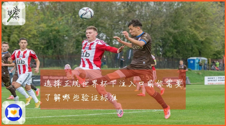 选择正规世界杯下注入口前你需要了解哪些验证标准