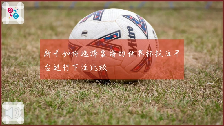 新手如何选择靠谱的世界杯投注平台进行下注比较