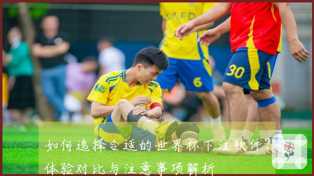 如何选择合适的世界杯下注软件？体验对比与注意事项解析