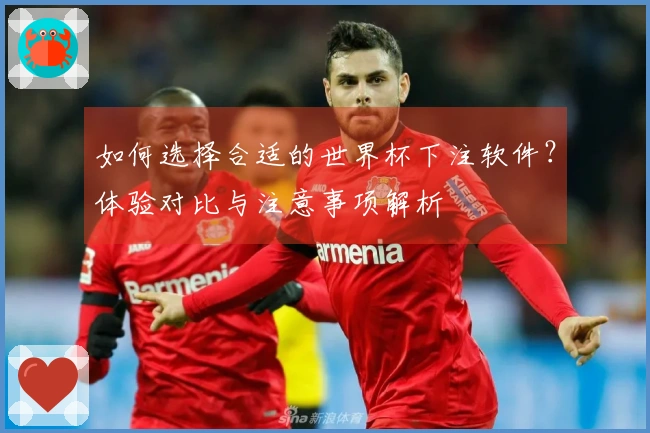 如何选择合适的世界杯下注软件？体验对比与注意事项解析